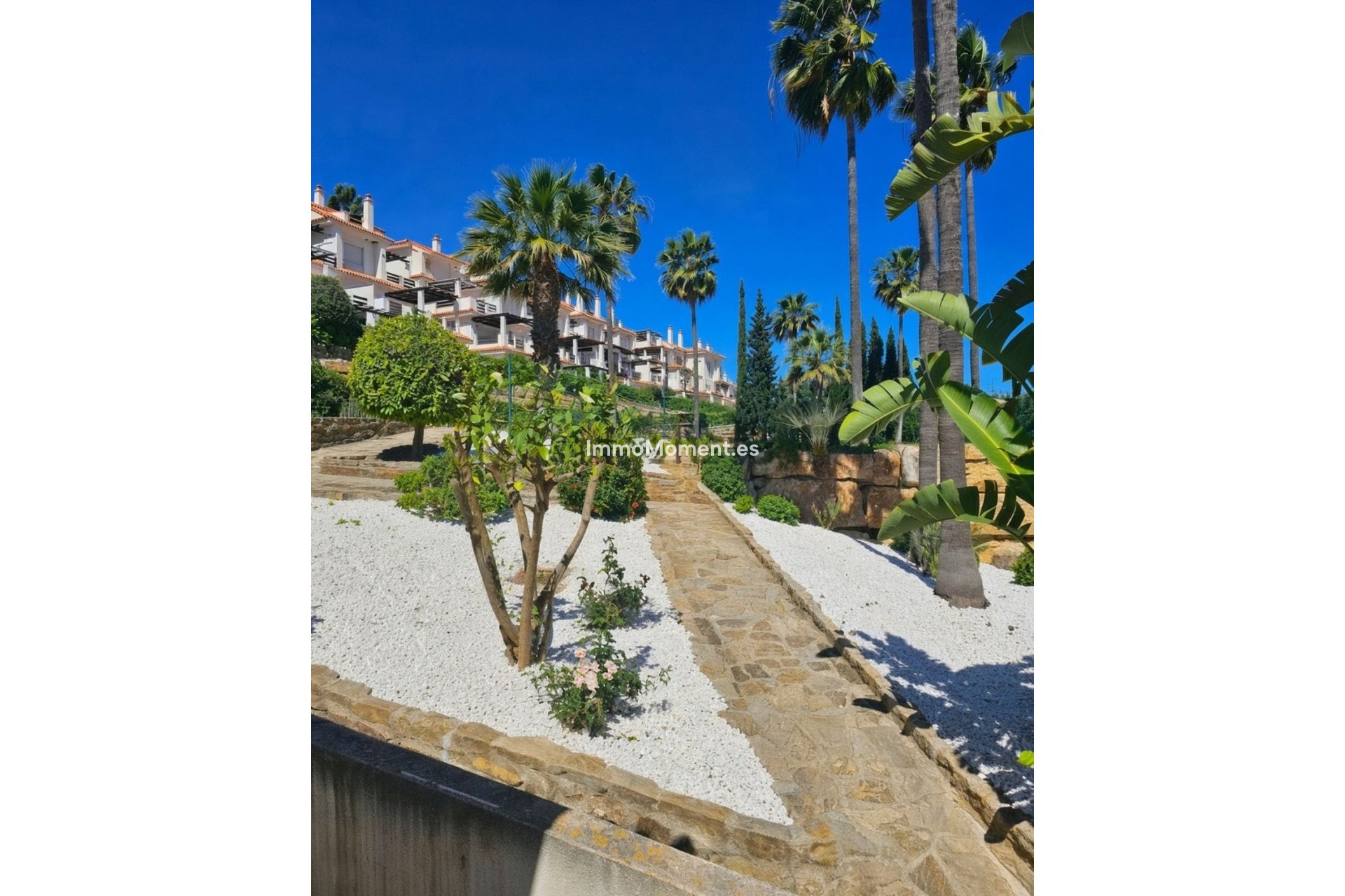 Bestaande woning - Appartement - Manilva - La Duquesa