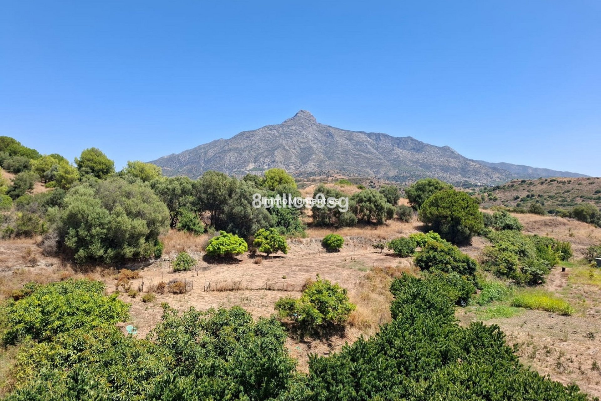 Bestaande woning - Appartement - Marbella - Aloha