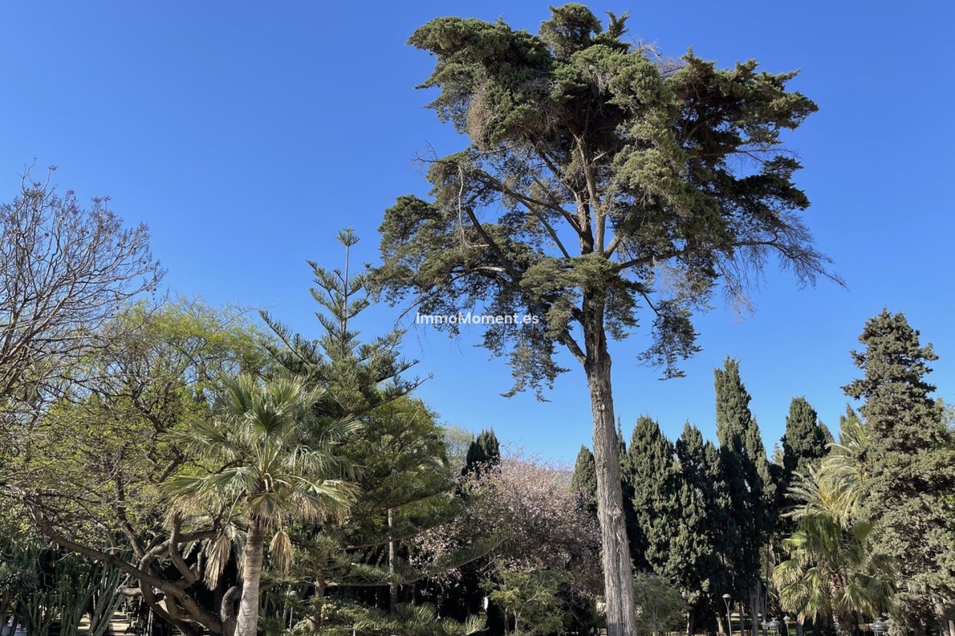 Bestaande woning - Appartement - Marbella - Marbella Centro