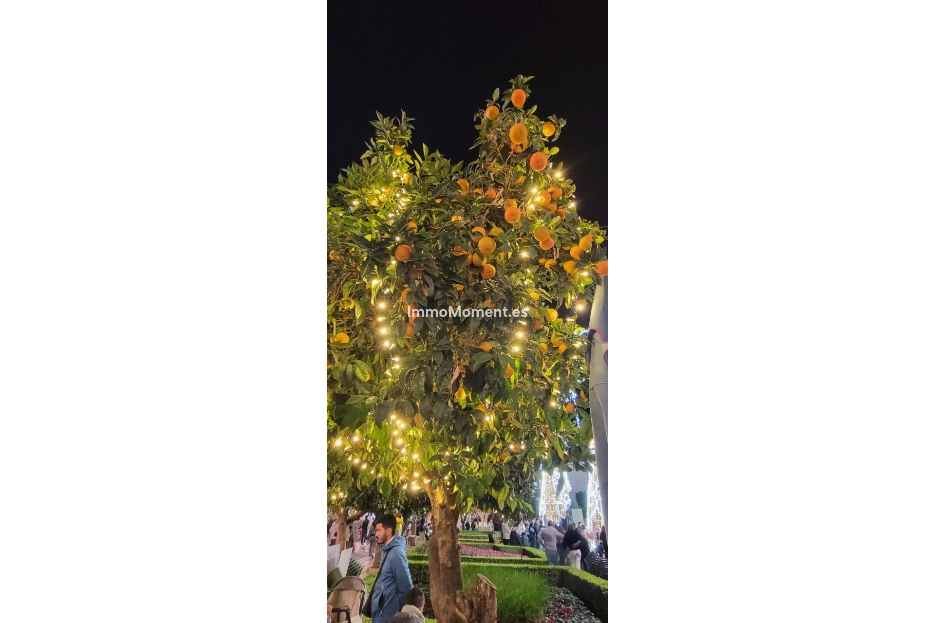 Bestaande woning - Appartement - Marbella - Marbella Centro