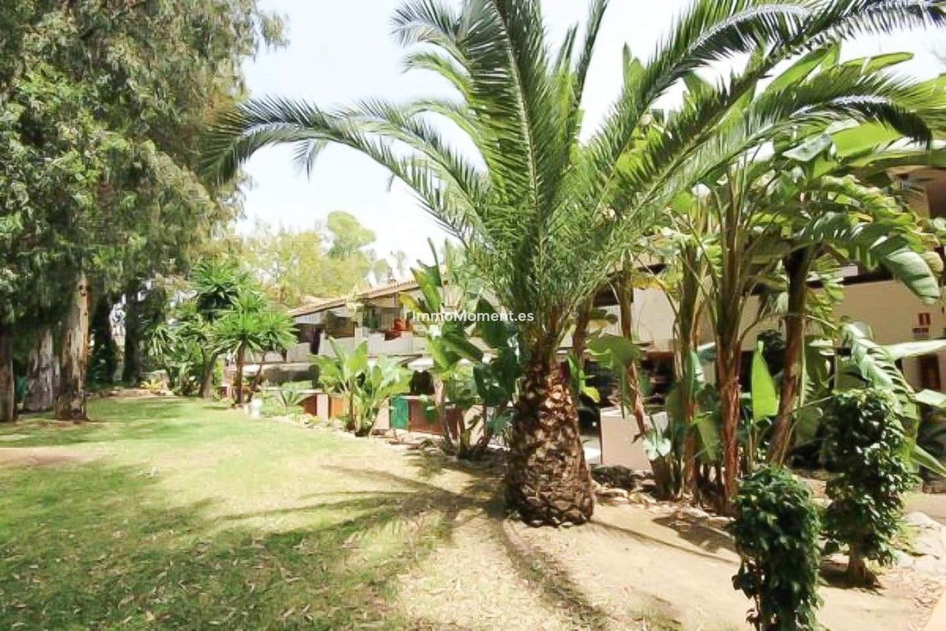 Bestaande woning - Appartement - Marbella - Marbella Centro