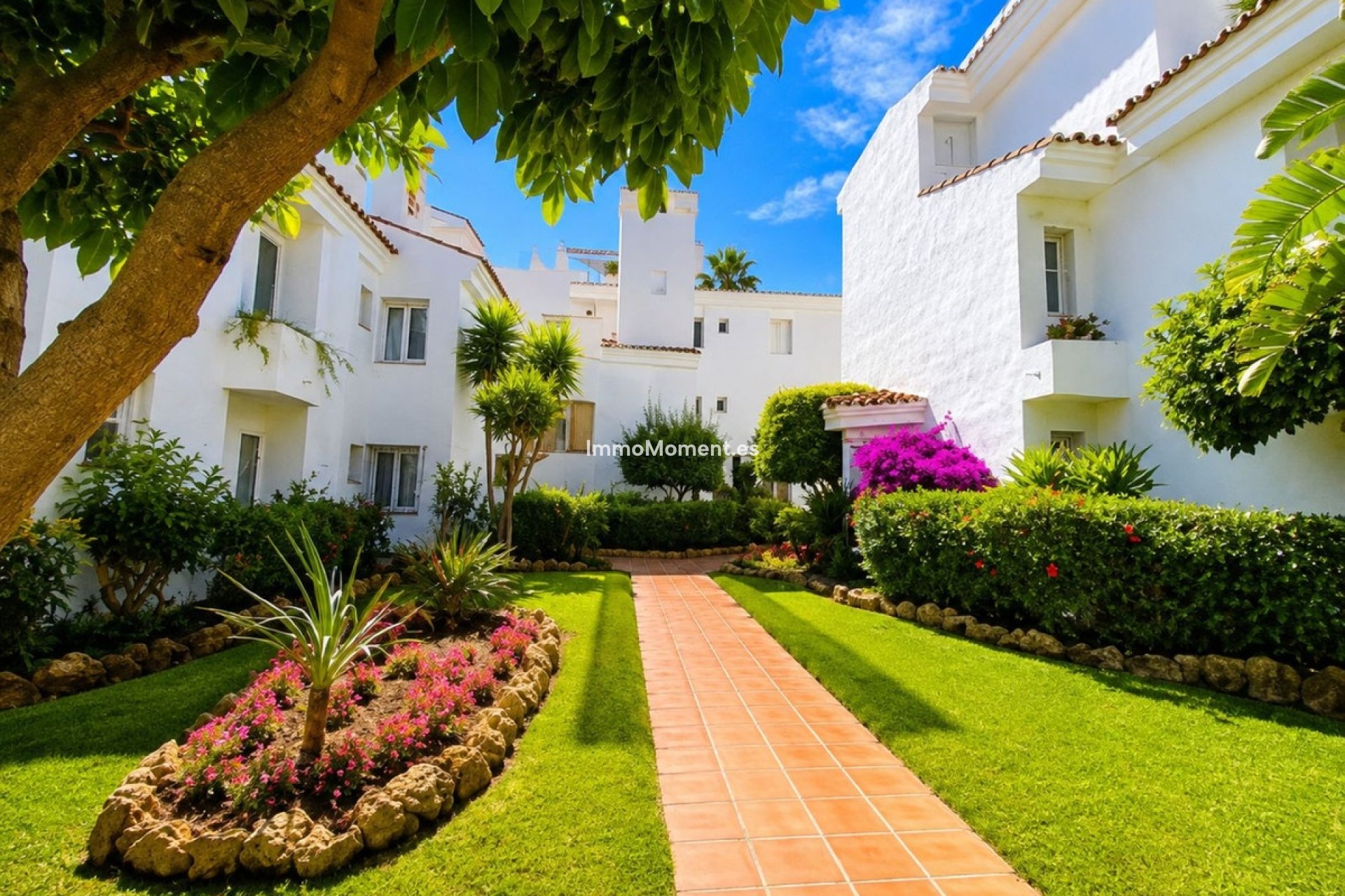 Bestaande woning - Appartement - Marbella - Nueva Andalucía