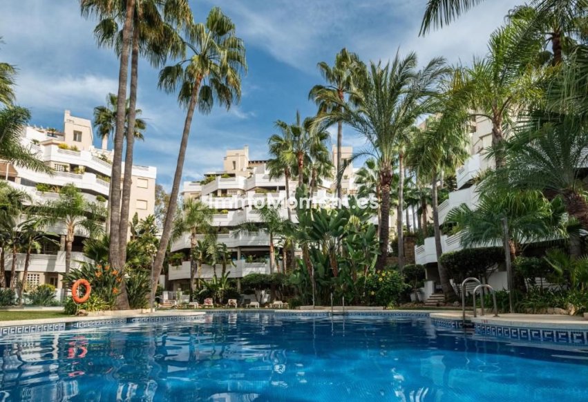 Bestaande woning - Appartement - Marbella - Nueva Andalucía
