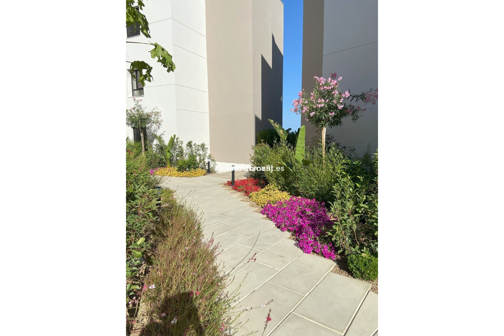 Bestaande woning - Appartement - Marbella - Nueva Andalucía