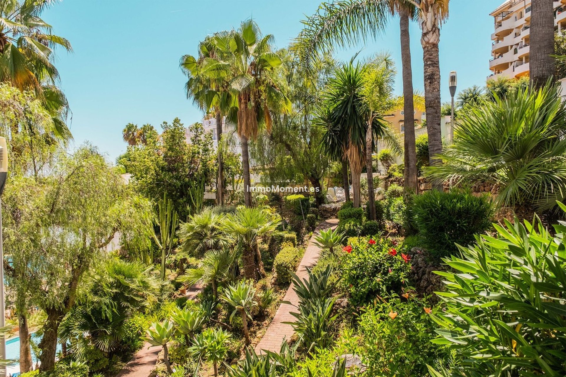 Bestaande woning - Appartement - Marbella - Nueva Andalucía