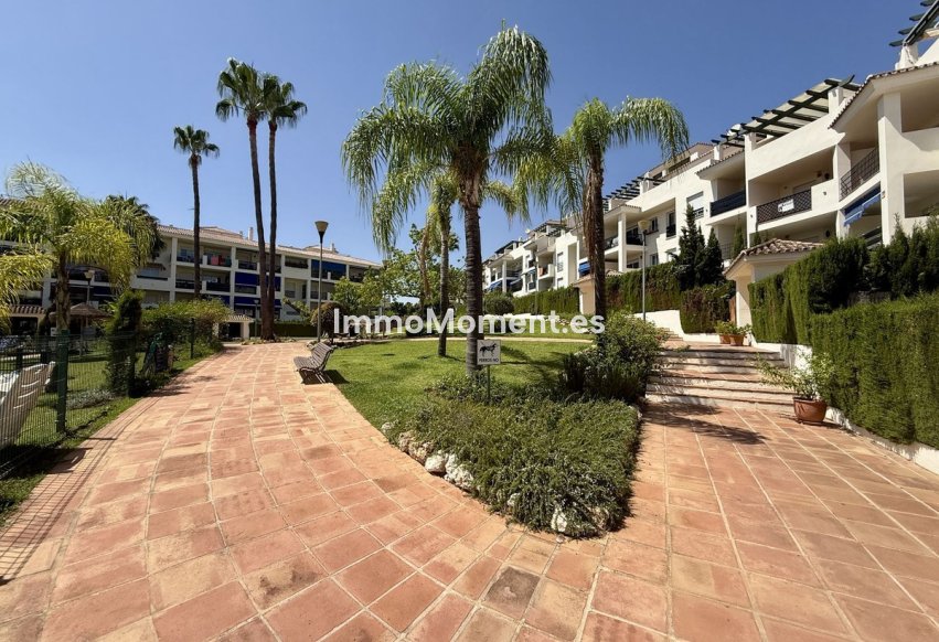 Bestaande woning - Appartement - Marbella - Nueva Andalucía