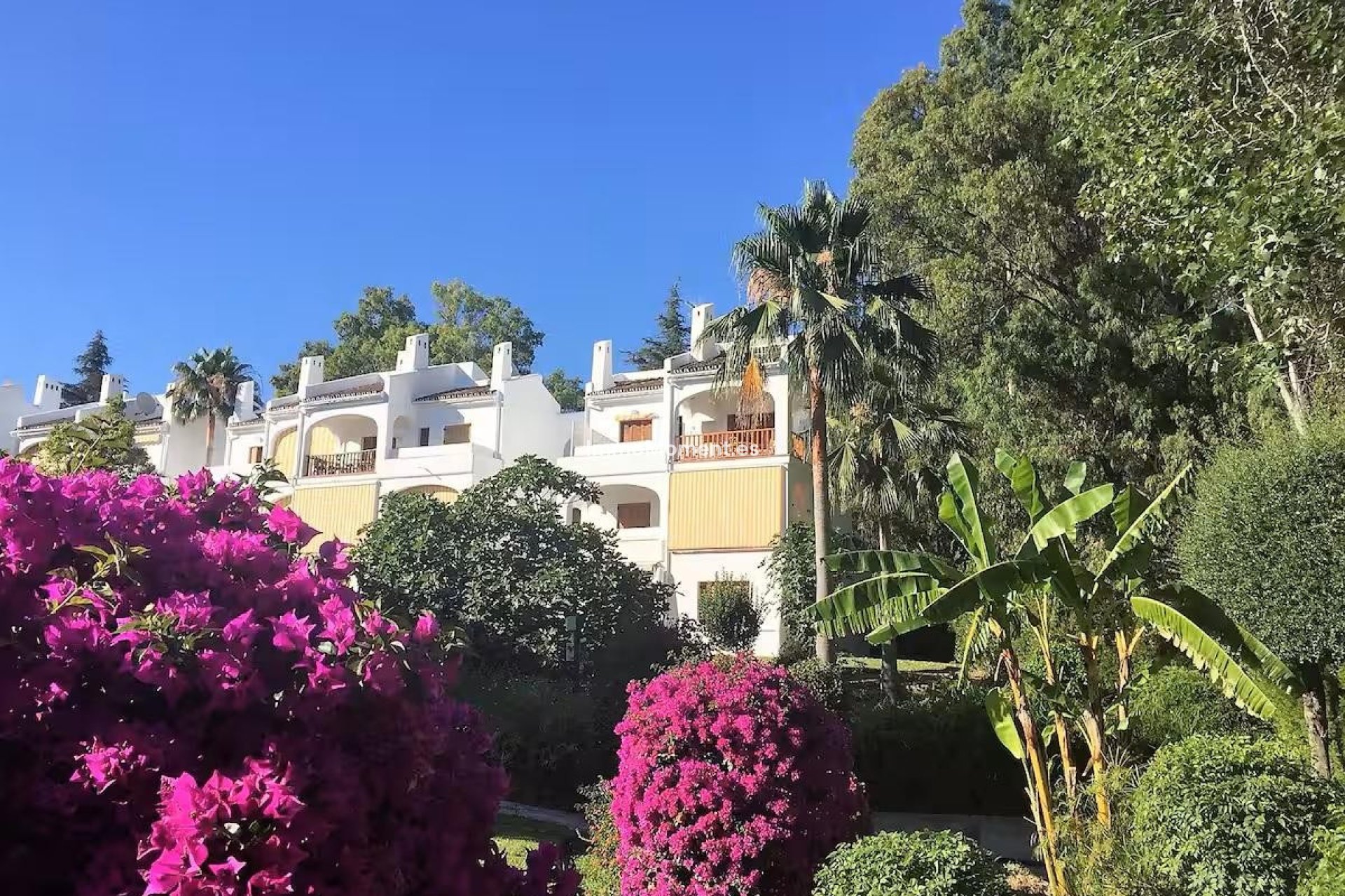 Bestaande woning - Appartement - Marbella - Nueva Andalucía