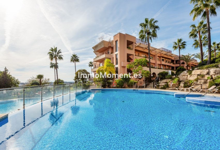 Bestaande woning - Appartement - Marbella - Nueva Andalucía