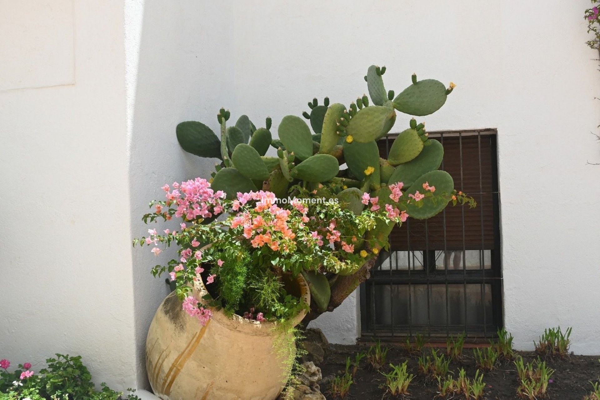 Bestaande woning - Appartement - Marbella - Nueva Andalucía