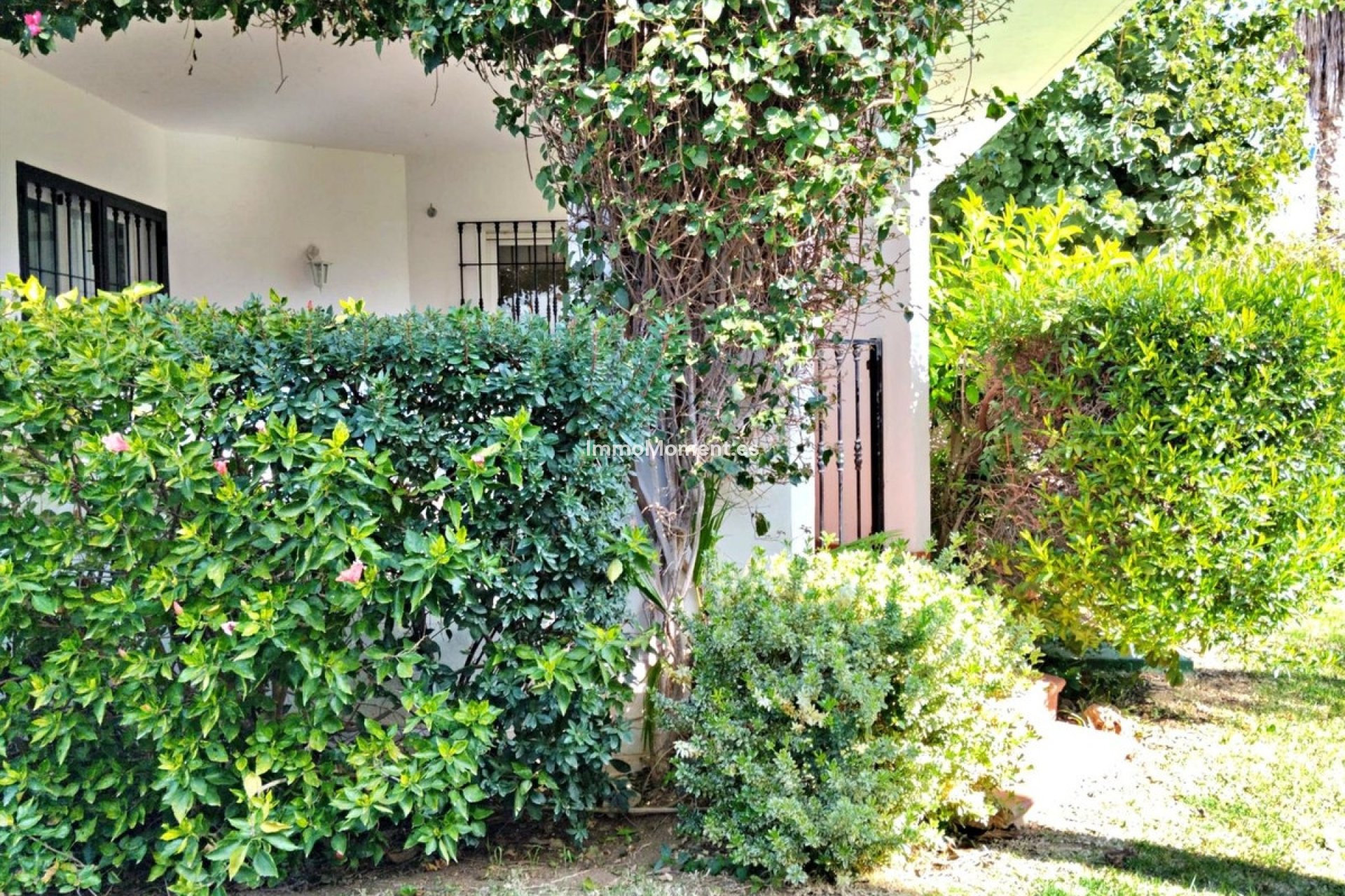 Bestaande woning - Appartement - Marbella - Nueva Andalucía