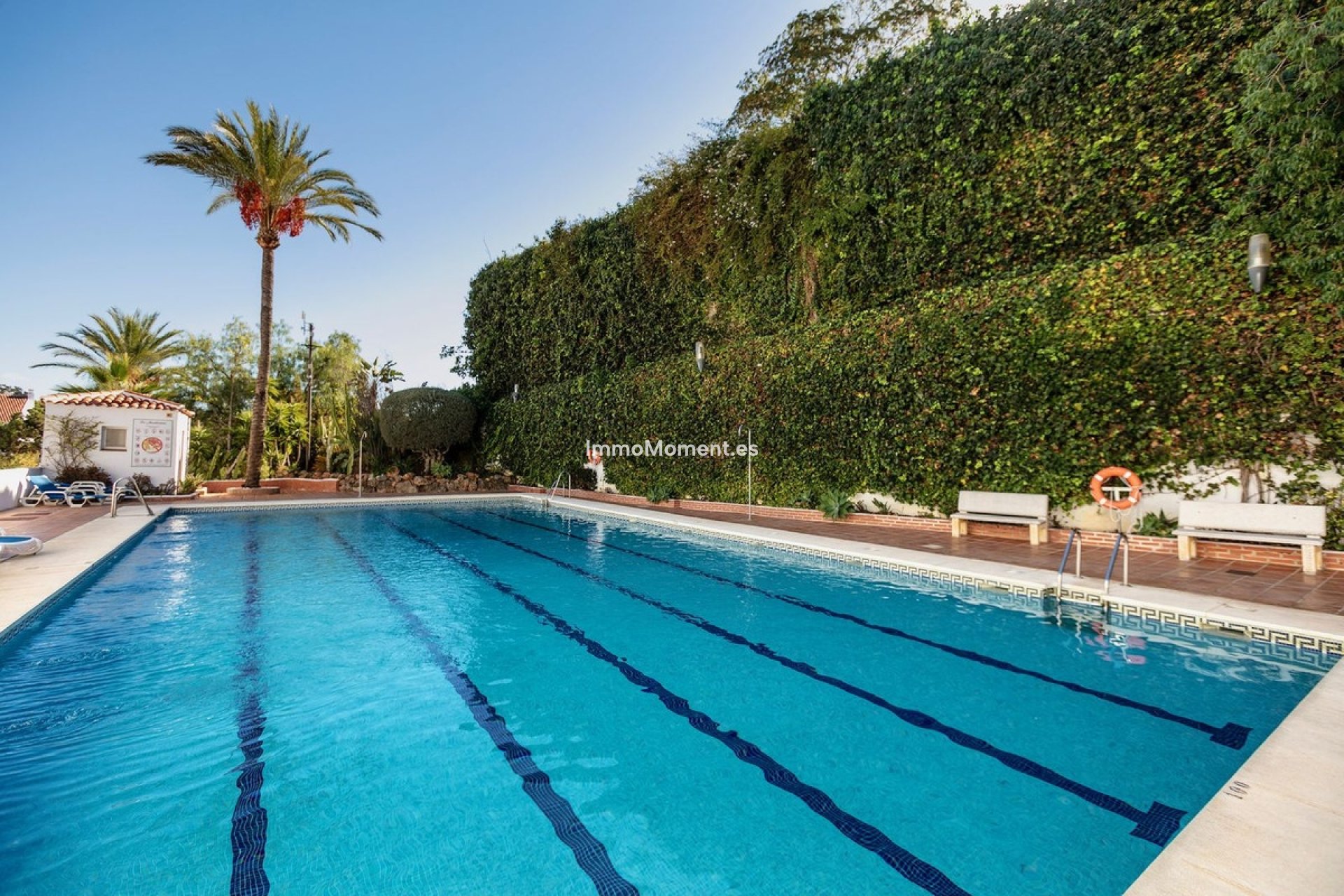 Bestaande woning - Appartement - Marbella - Nueva Andalucía