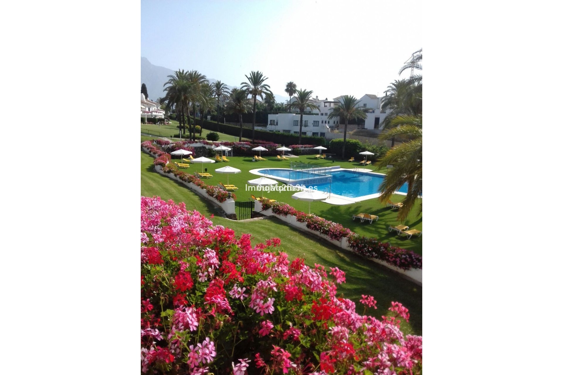 Bestaande woning - Appartement - Marbella - Nueva Andalucía