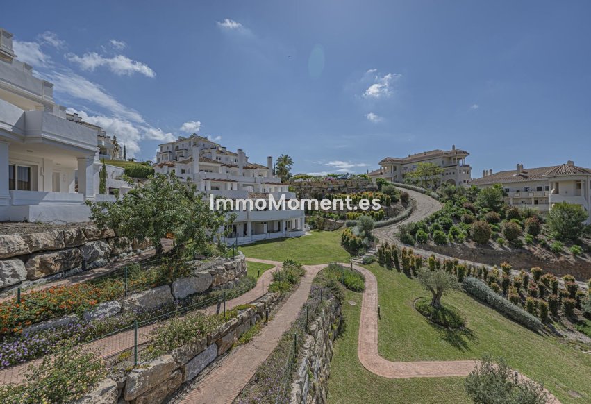 Bestaande woning - Appartement - Marbella - Nueva Andalucía