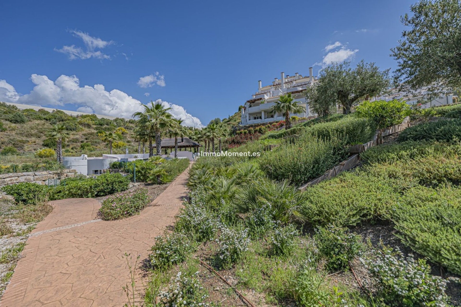 Bestaande woning - Appartement - Marbella - Nueva Andalucía