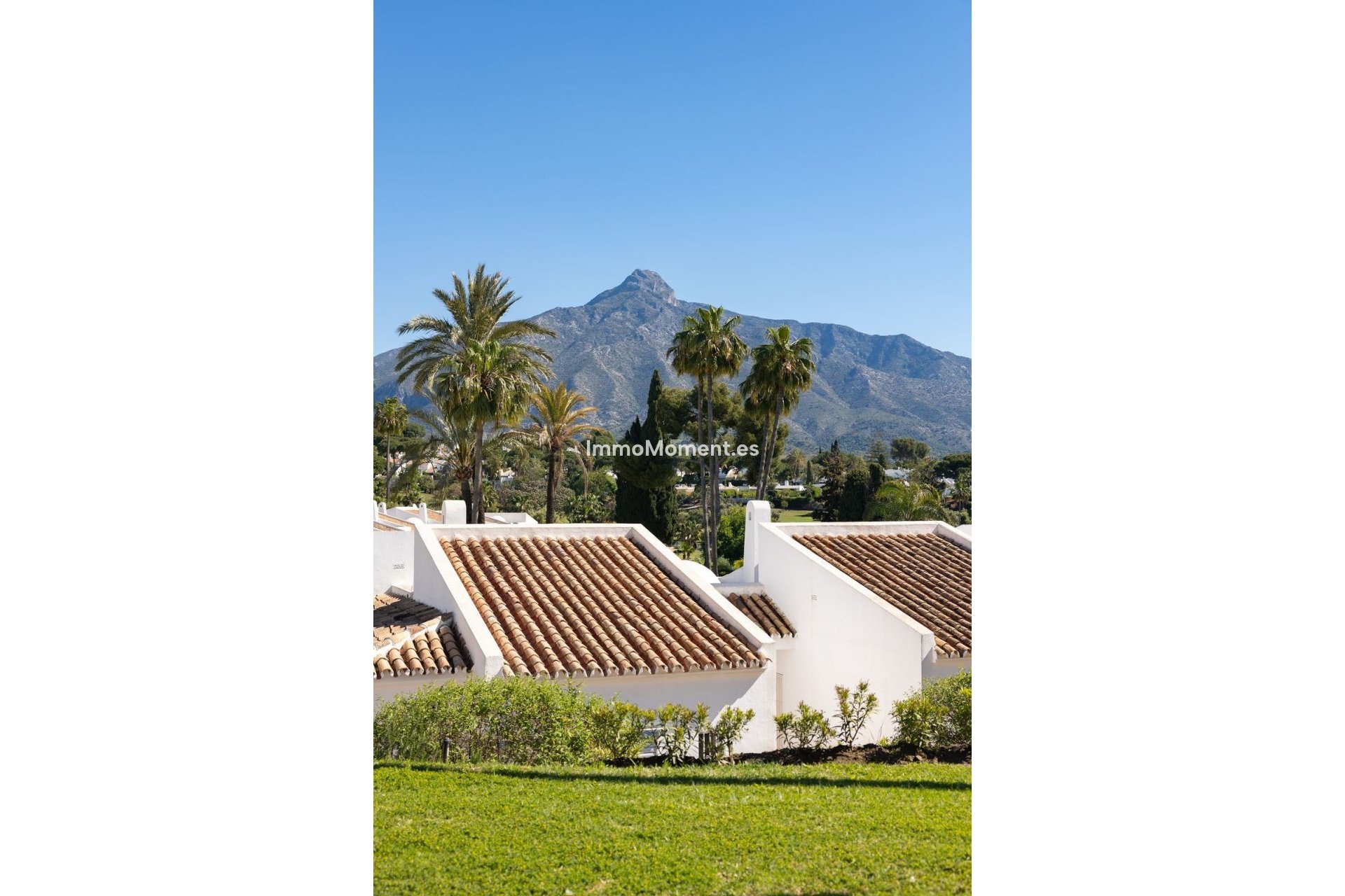 Bestaande woning - Appartement - Marbella - Nueva Andalucía