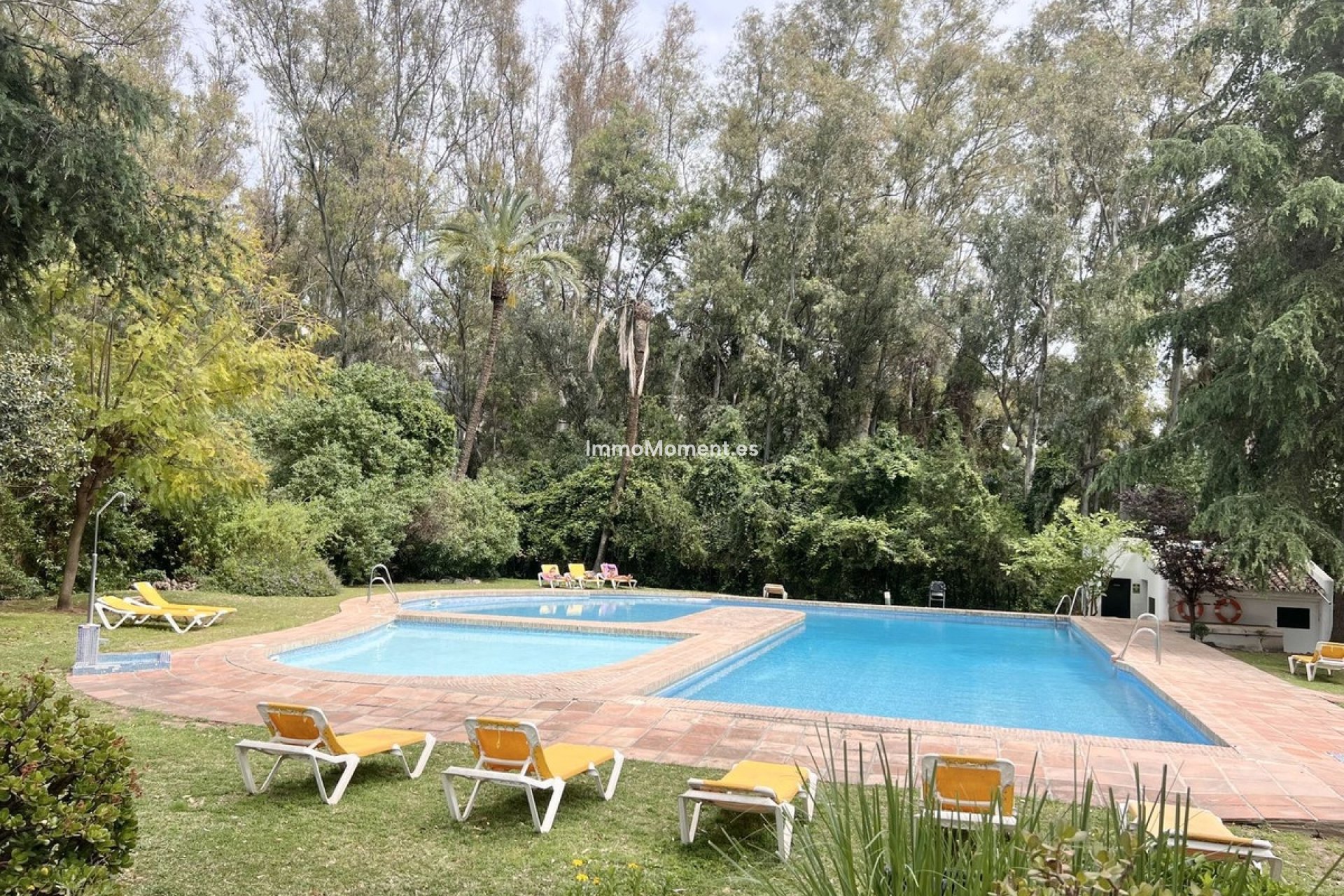 Bestaande woning - Appartement - Marbella - Nueva Andalucía