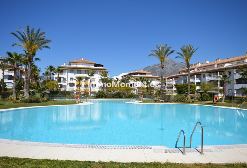 Bestaande woning - Appartement - Marbella - Nueva Andalucía