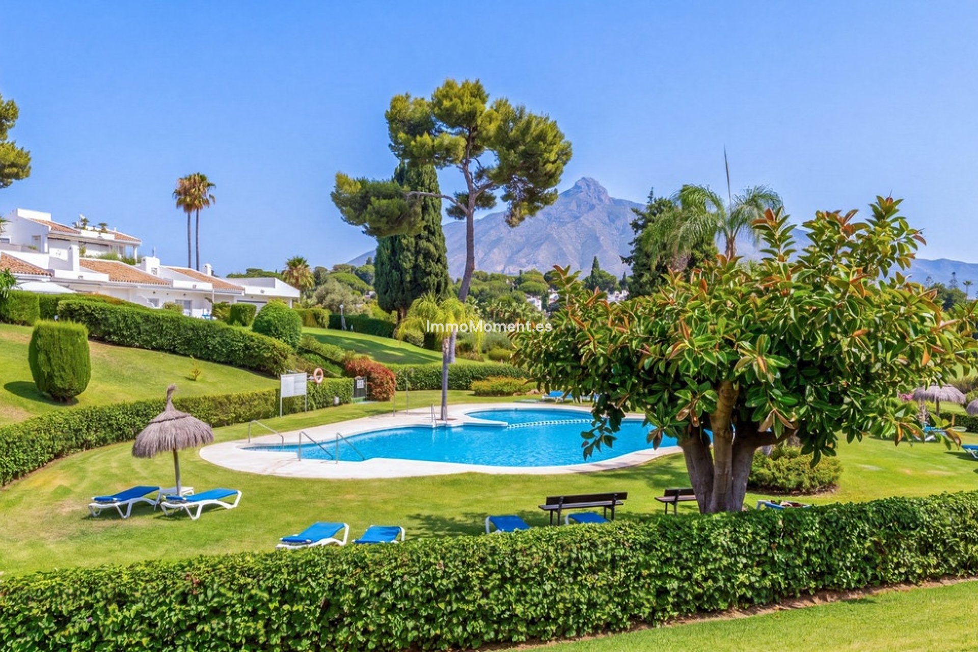 Bestaande woning - Appartement - Marbella - Nueva Andalucía
