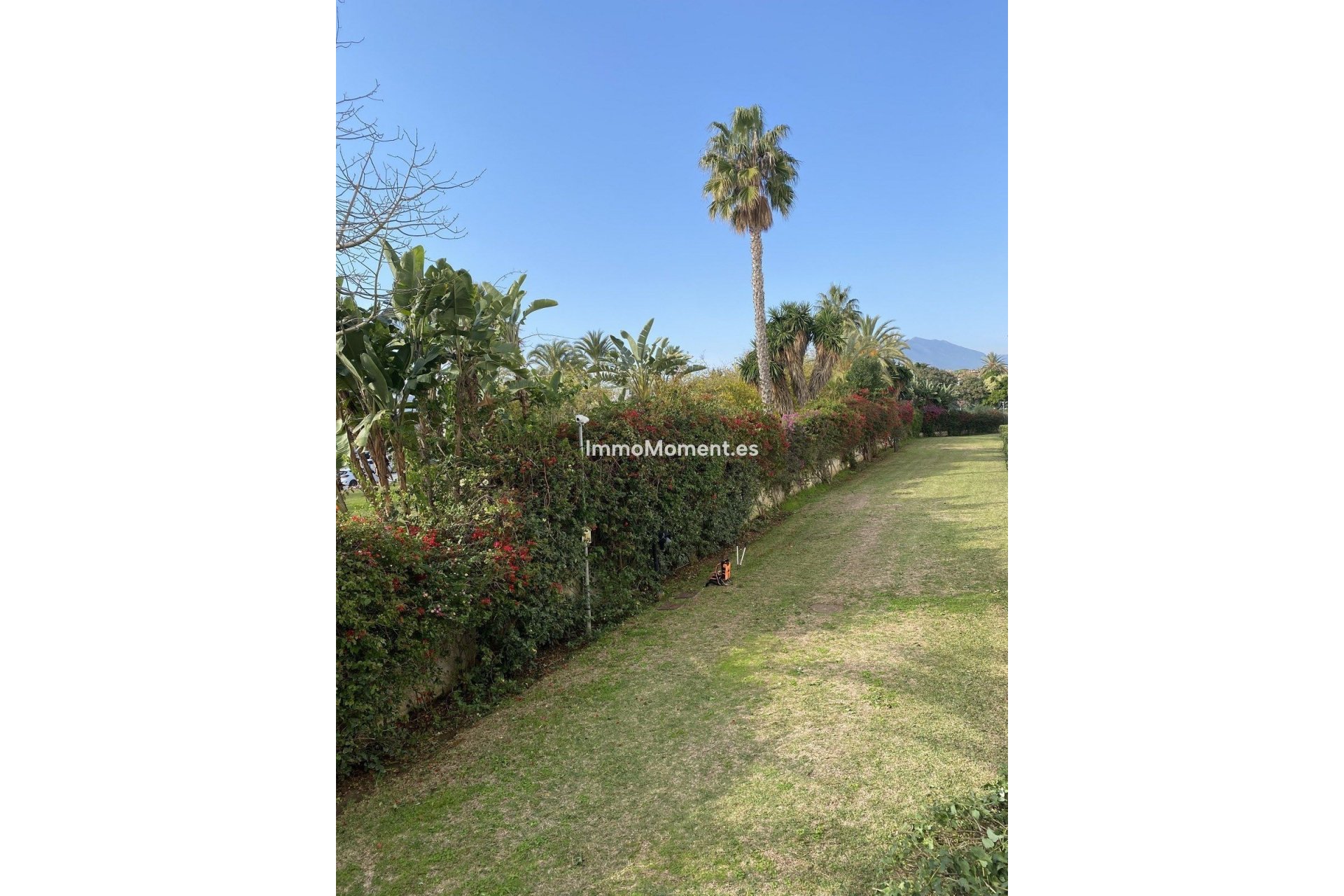 Bestaande woning - Appartement - Marbella - Puerto Banús