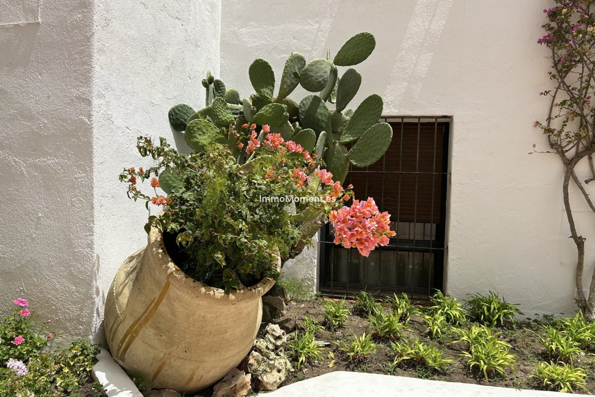 Bestaande woning - Appartement - Marbella - Puerto Banús