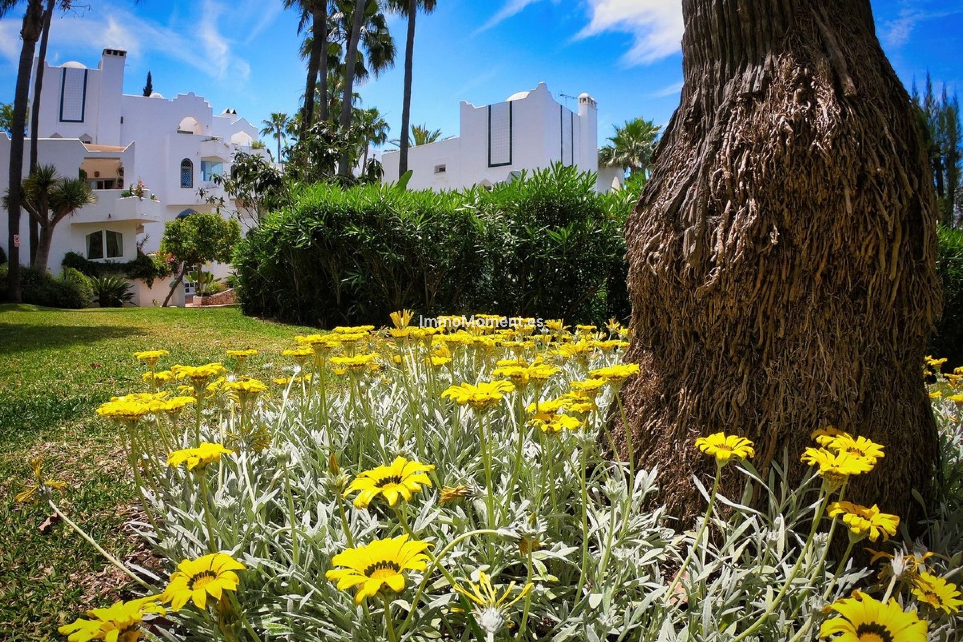 Bestaande woning - Appartement - Marbella - Reserva de Marbella