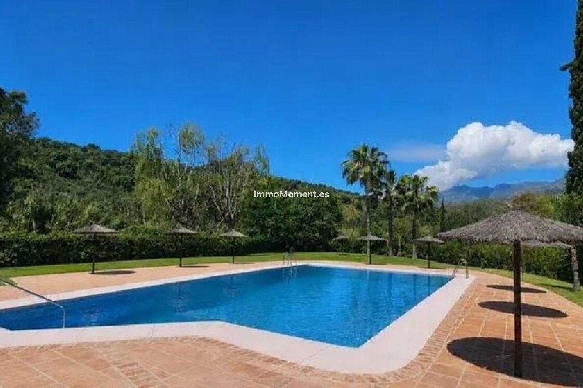 Bestaande woning - Appartement - Marbella - Río Real