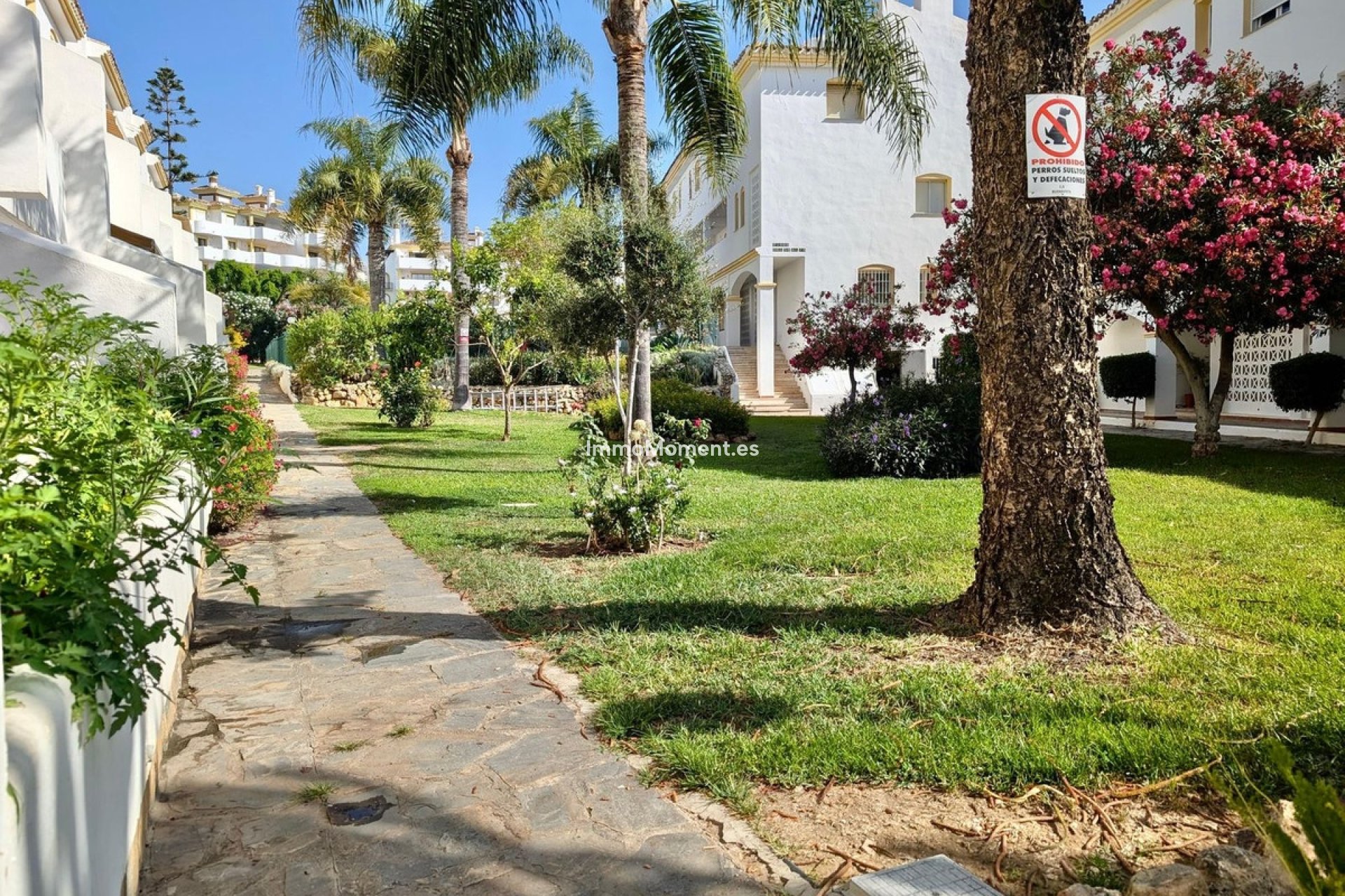 Bestaande woning - Appartement - Mijas - Calahonda
