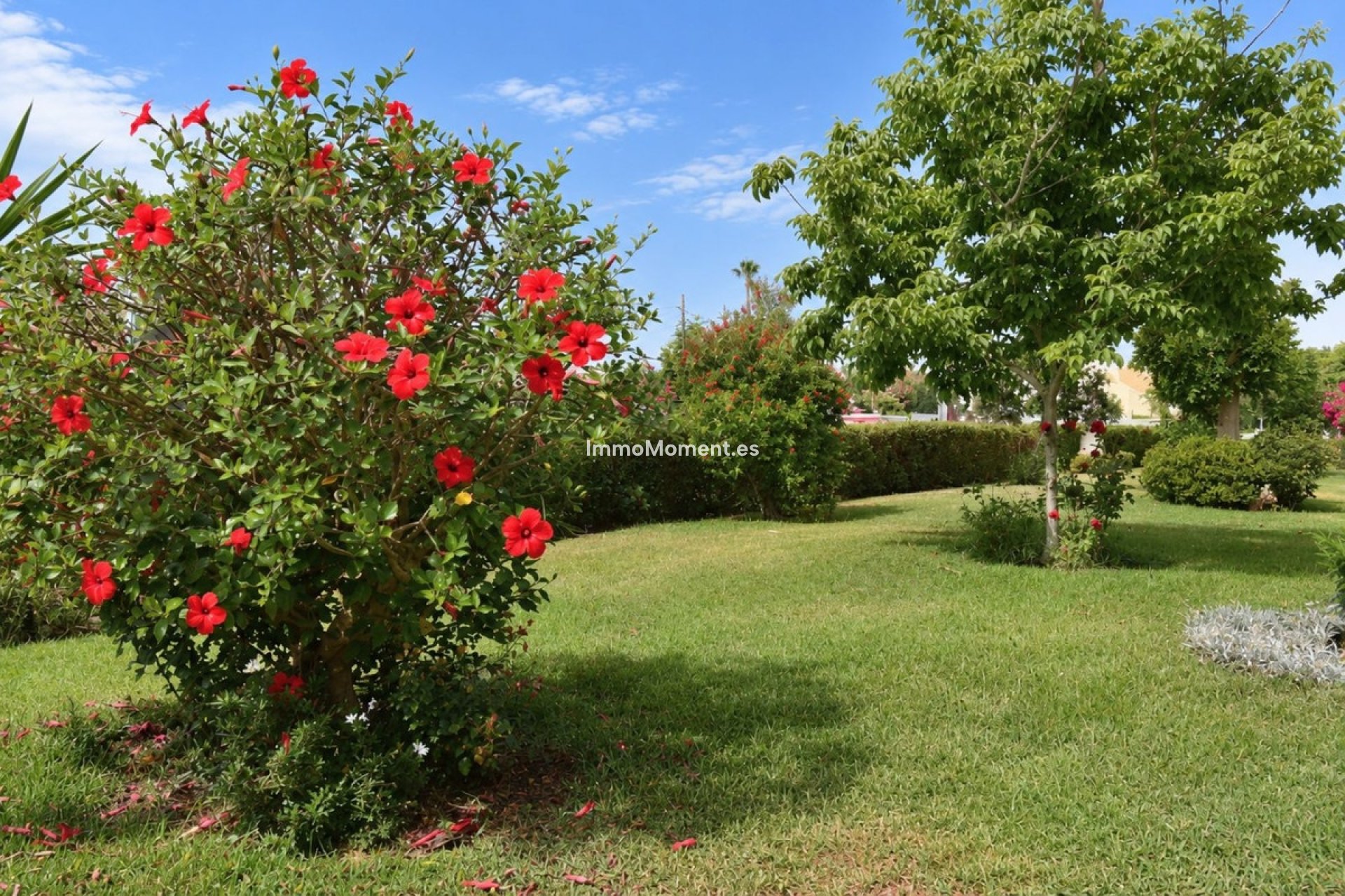Bestaande woning - Appartement - Mijas - El Chaparral