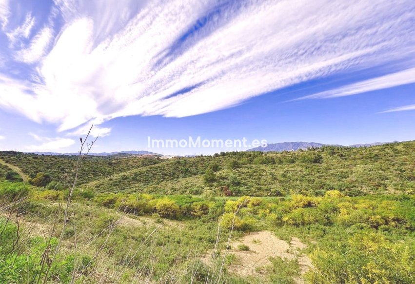 Bestaande woning - Appartement - Mijas - El Faro