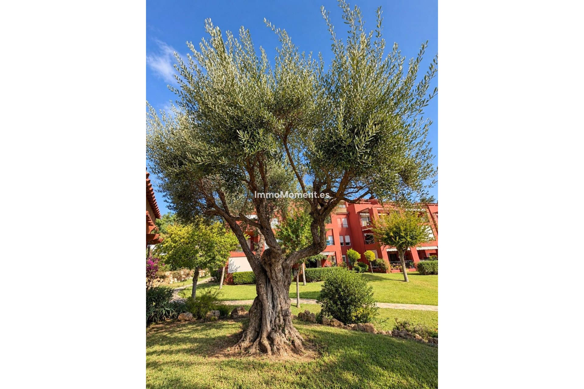Bestaande woning - Appartement - Mijas - La Cala Hills