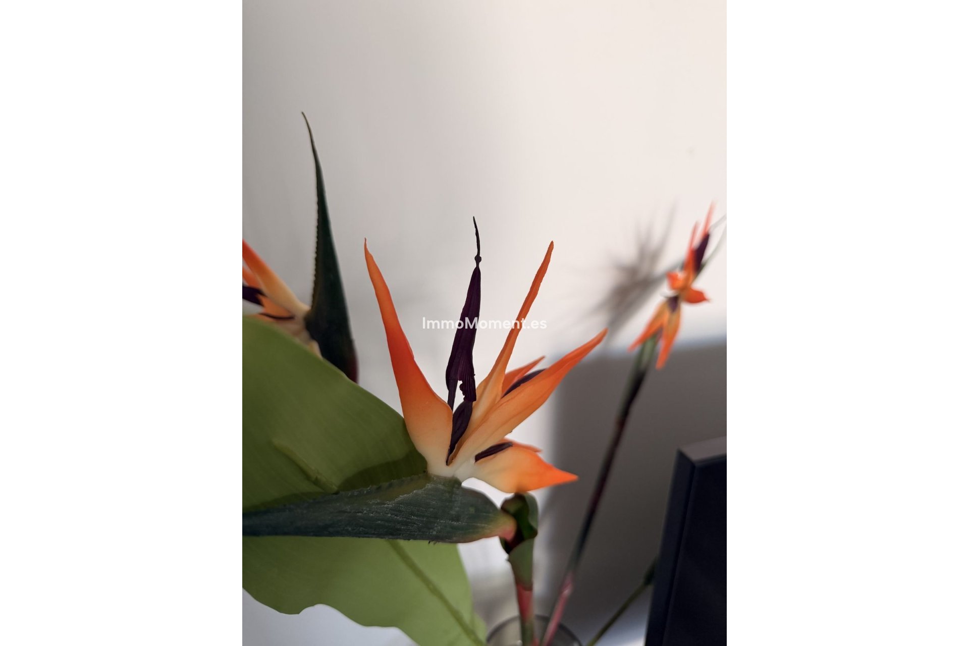 Bestaande woning - Appartement - Mijas - Mijas Centro