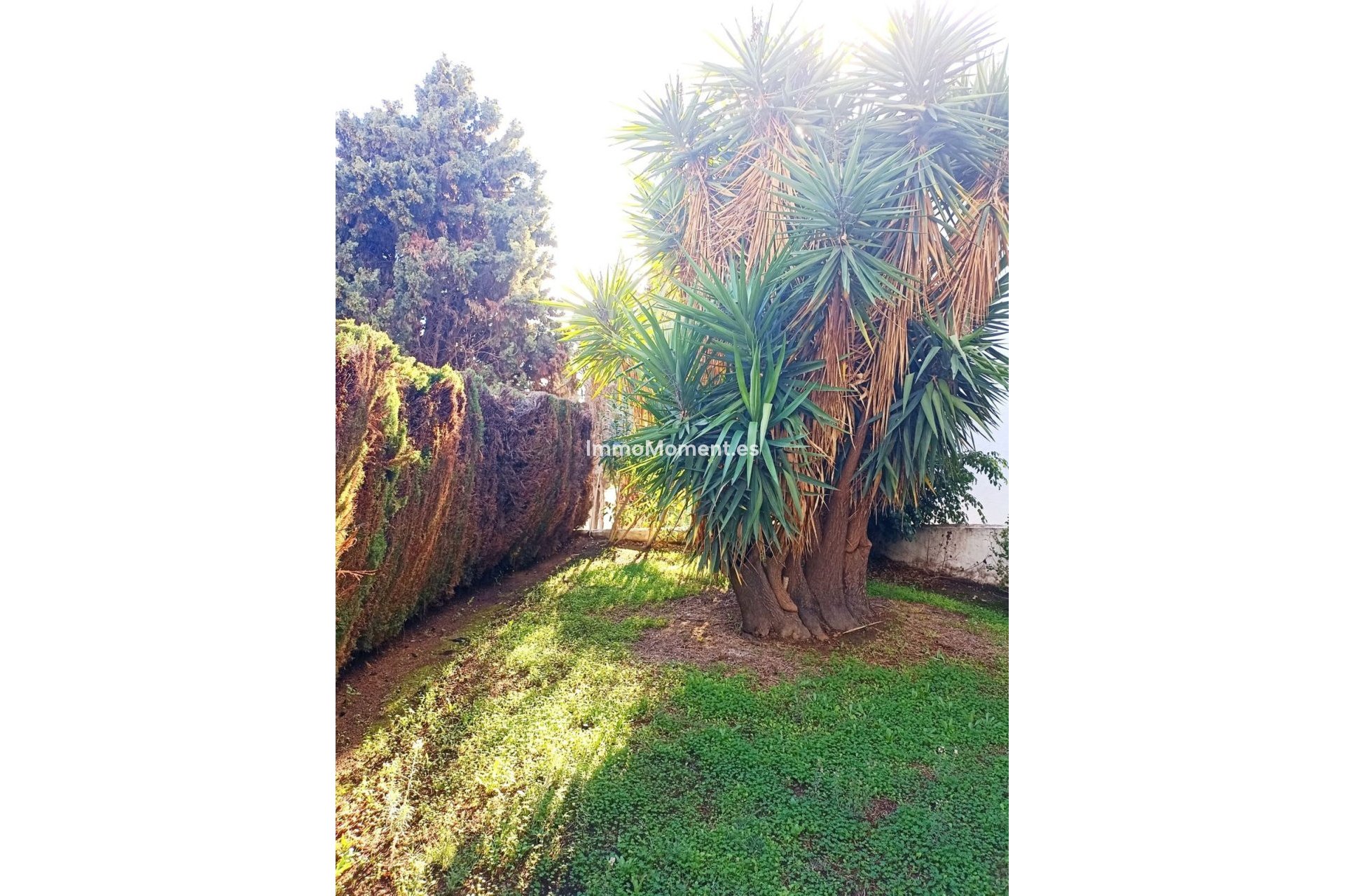 Bestaande woning - Appartement - Mijas - Mijas Golf