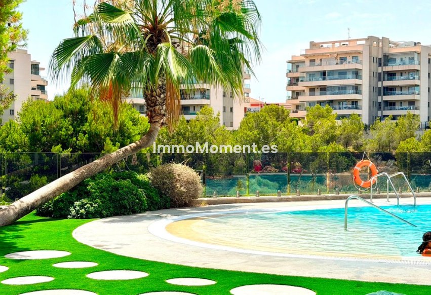 Bestaande woning - Appartement - Orihuela Costa - Cabo roig - La Zenia
