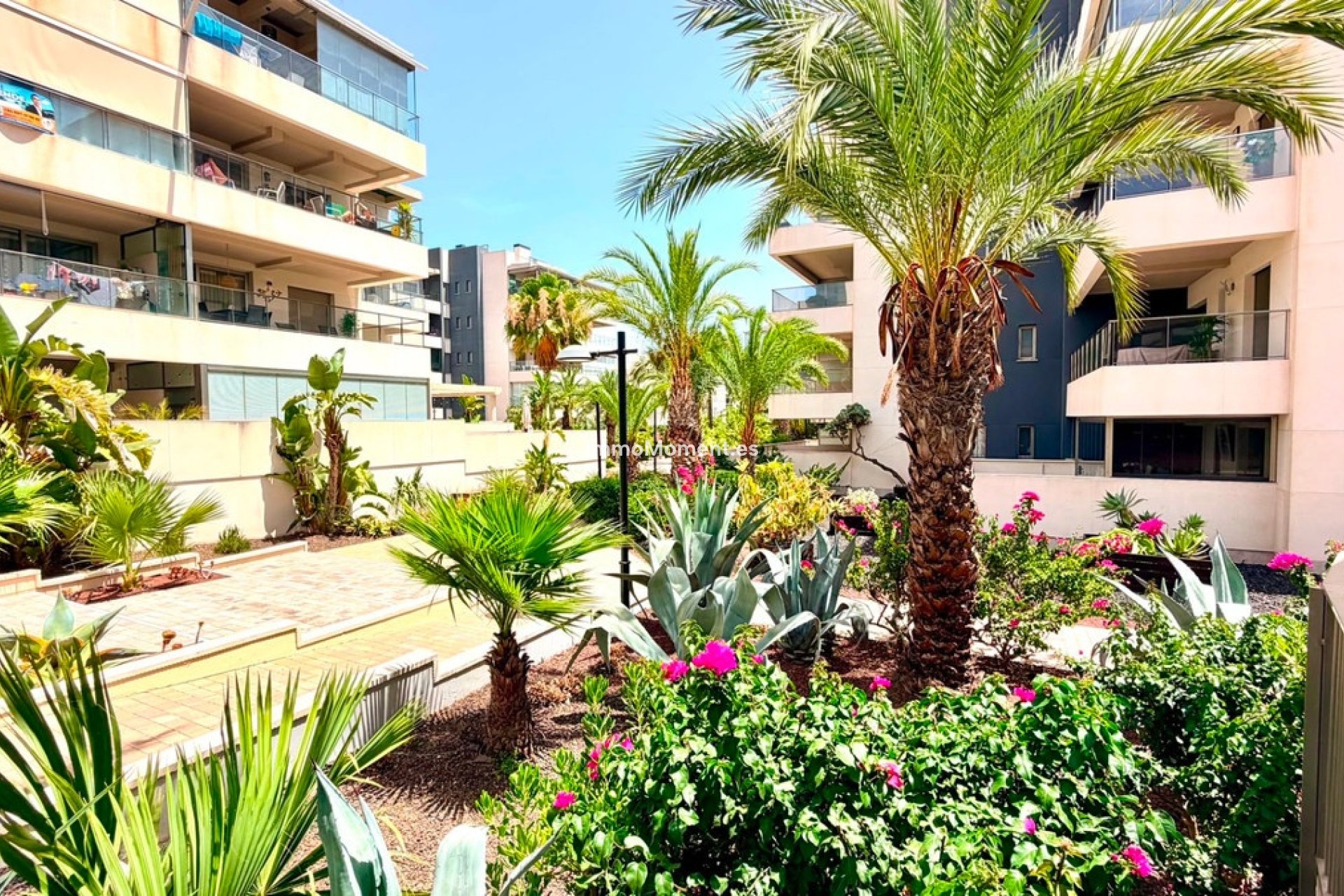Bestaande woning - Appartement - Orihuela Costa - Cabo roig - La Zenia