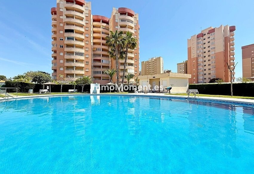 Bestaande woning - Appartement - Orihuela - Dehesa de campoamor