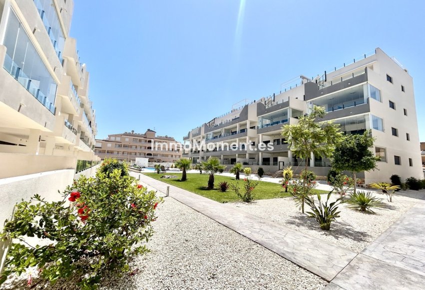 Bestaande woning - Appartement - Orihuela - Los Dolses