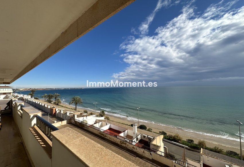 Bestaande woning - Appartement - Orihuela - Mil Palmeras