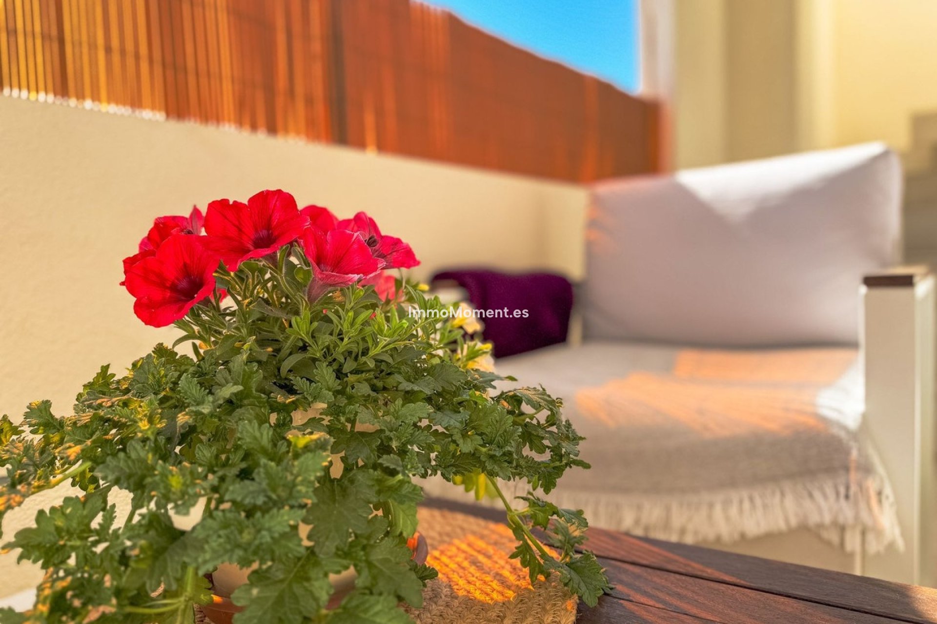 Bestaande woning - Appartement - Orihuela - Orihuela Costa