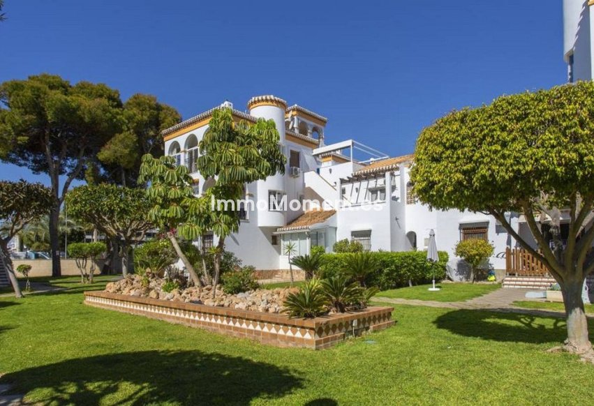 Bestaande woning - Appartement - Orihuela - Playa Flamenca