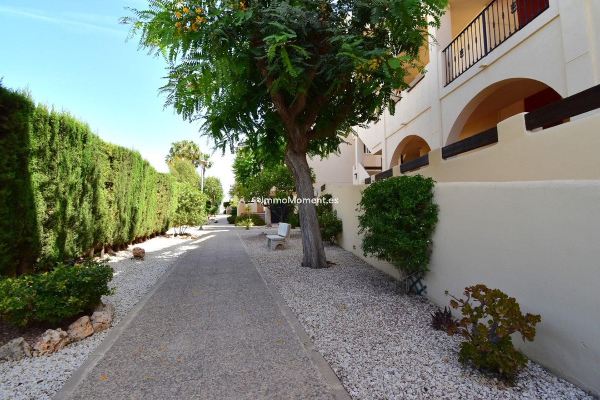 Bestaande woning - Appartement - Orihuela - Playa Flamenca