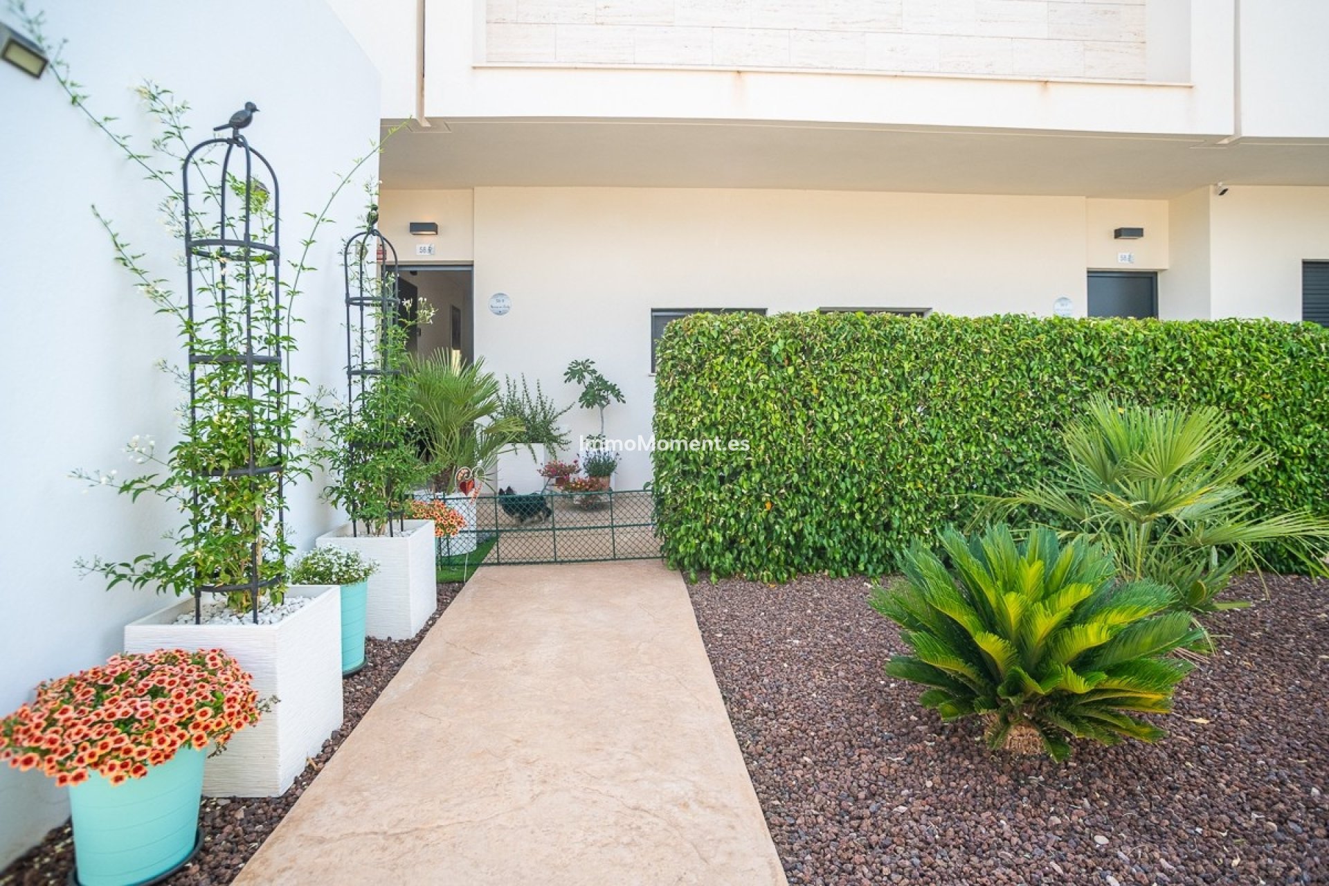Bestaande woning - Appartement - Pilar de la Horadada - Pilar de la Horadada Centro
