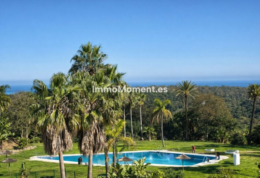 Bestaande woning - Appartement - Sotogrande - San Roque