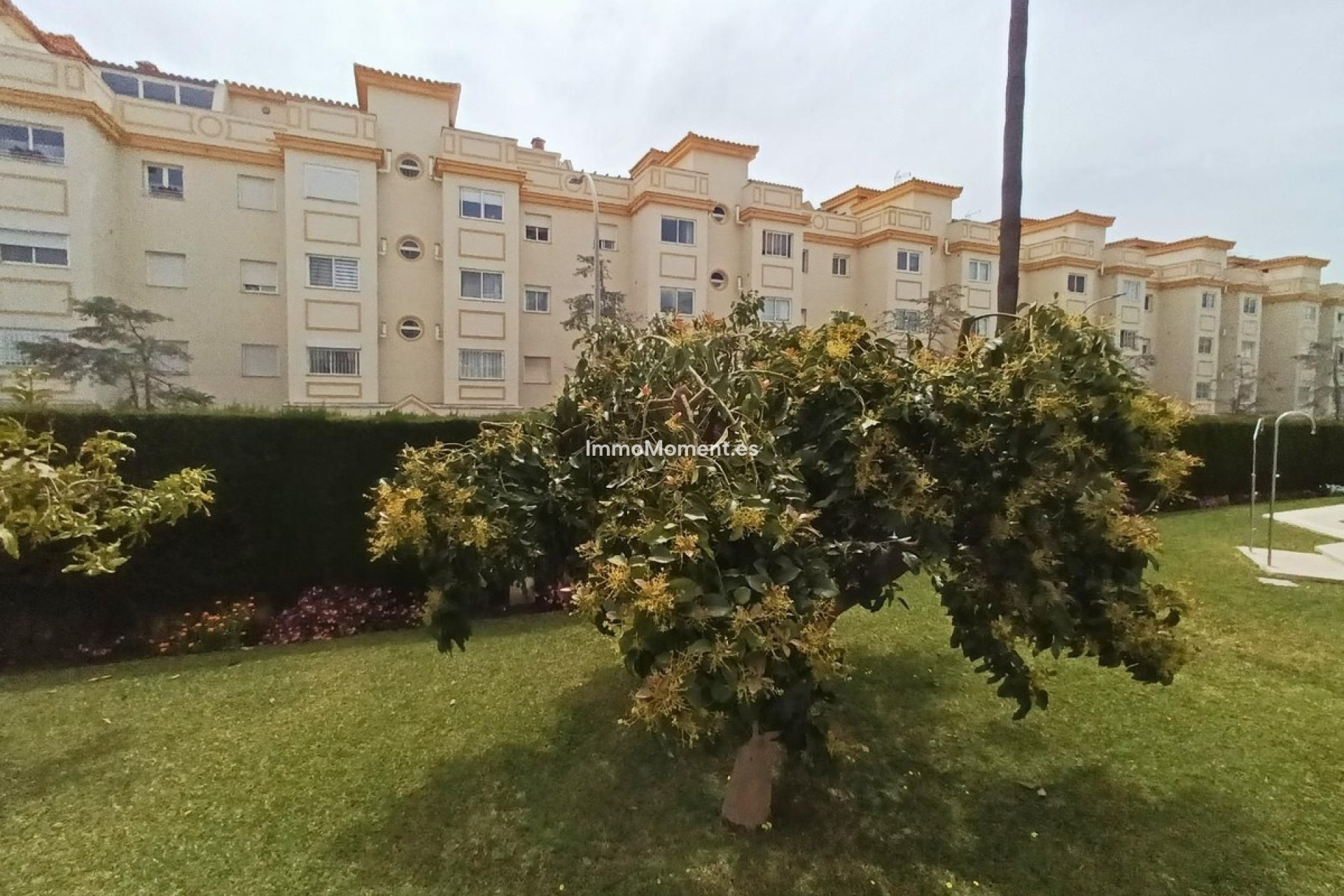 Bestaande woning - Appartement - Torremolinos - El Pinillo