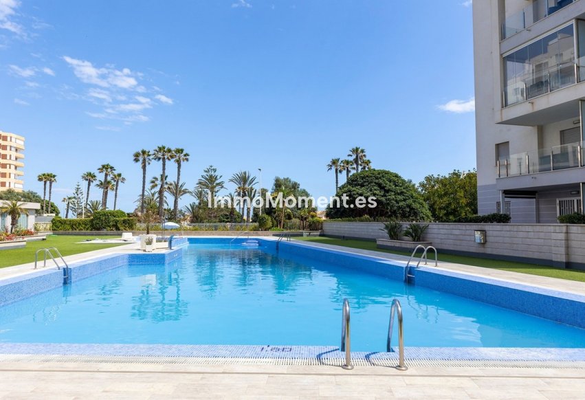 Bestaande woning - Appartement - Torrevieja - La Mata
