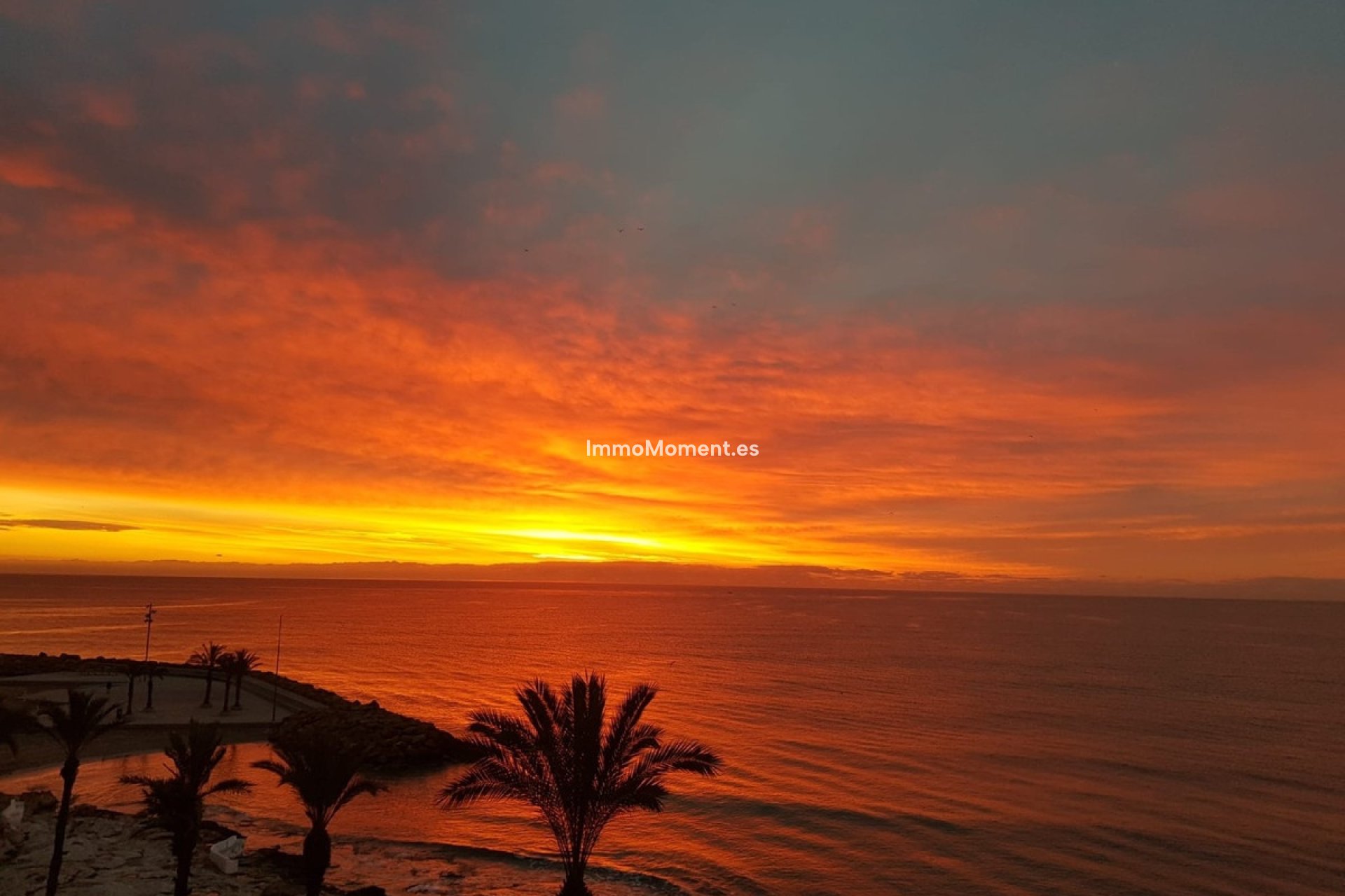 Bestaande woning - Appartement - Torrevieja - Playa del Cura