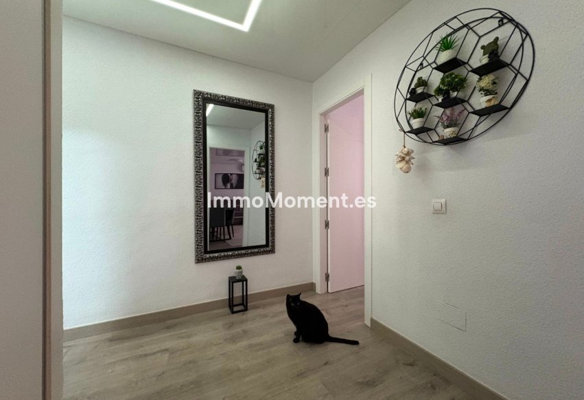 Bestaande woning - Appartement - Torrevieja - Torrevieja Centro