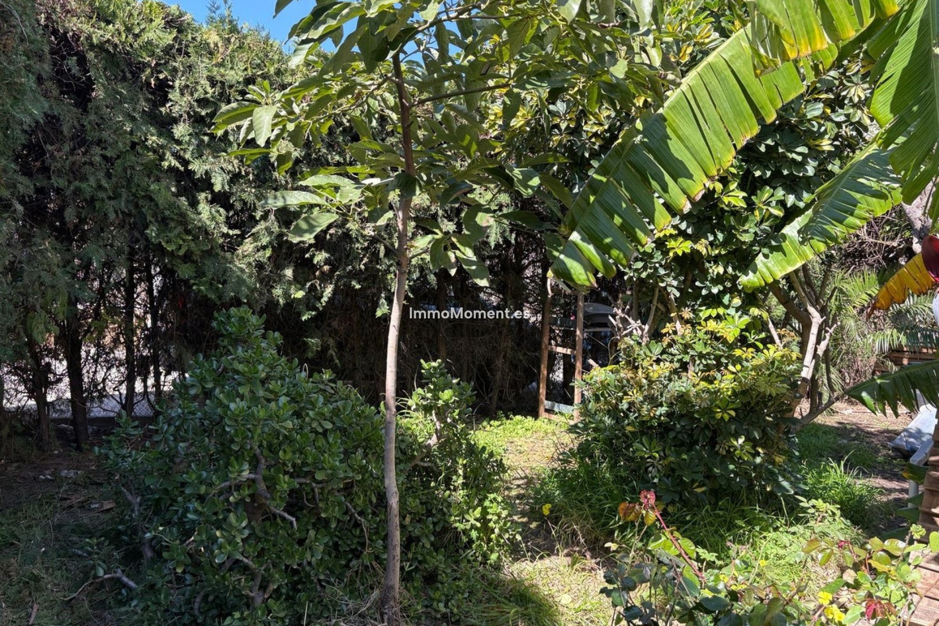 Bestaande woning - Geschakelde woning - Estepona  - Estepona Centro