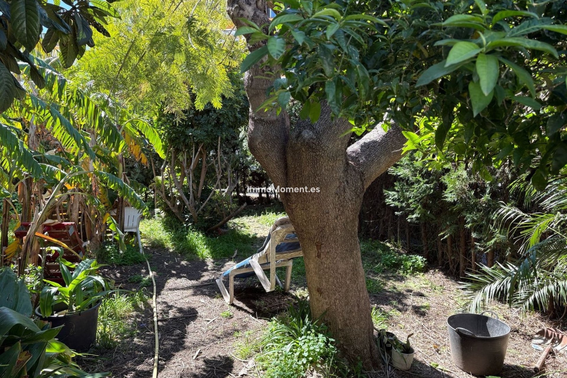 Bestaande woning - Geschakelde woning - Estepona  - Estepona Centro