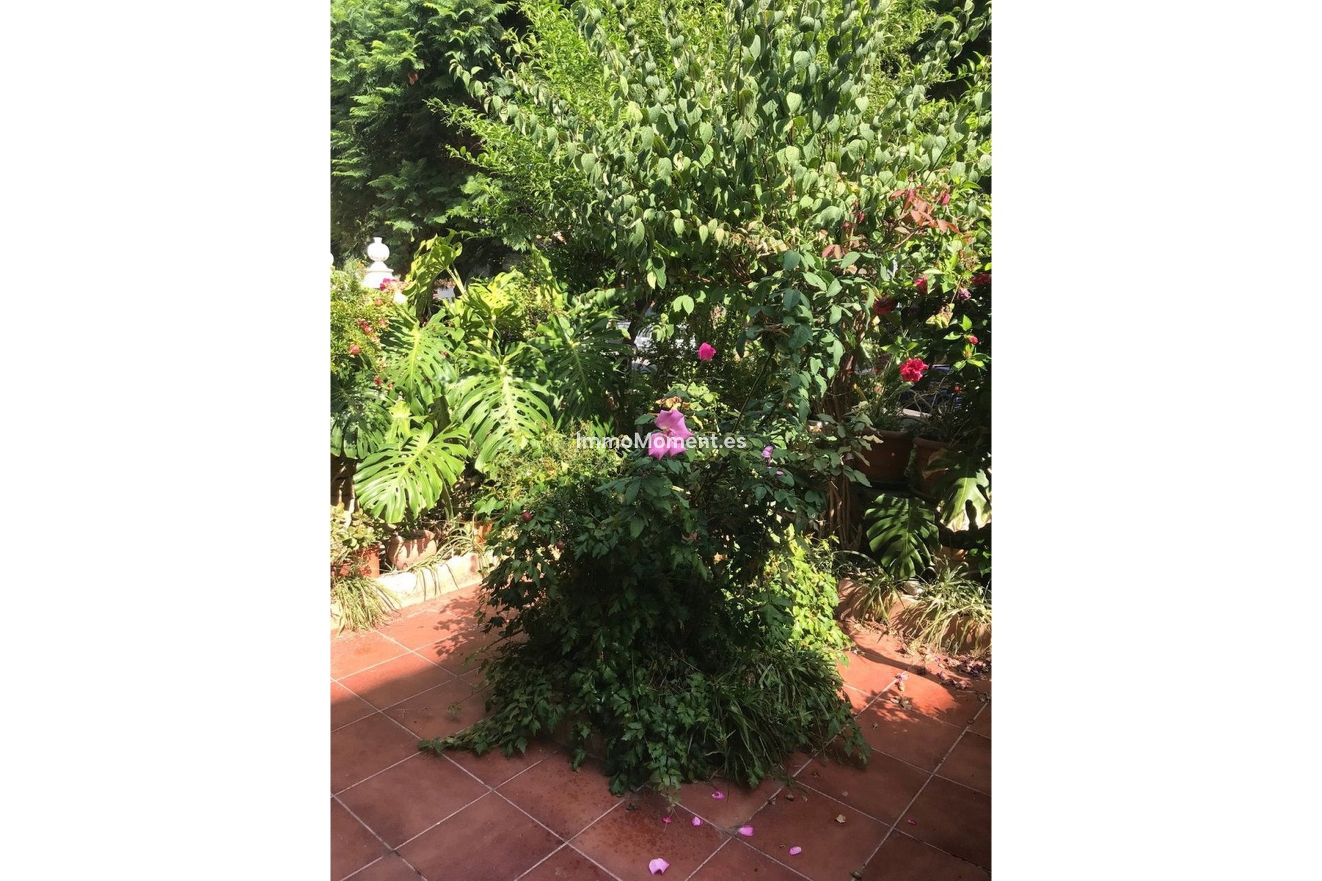 Bestaande woning - Geschakelde woning - Estepona  - Estepona Centro