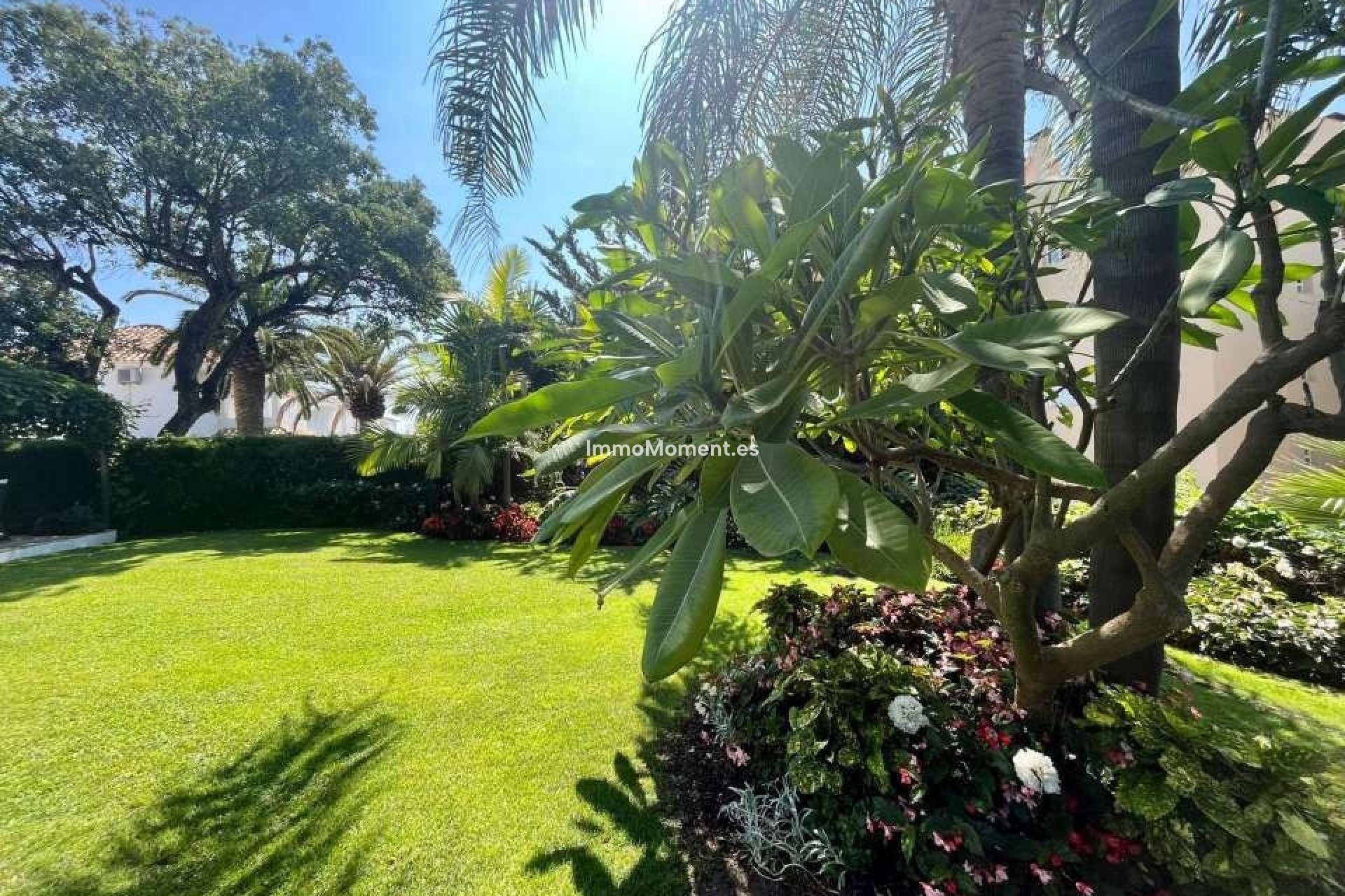 Bestaande woning - Geschakelde woning - Mijas - Mijas Centro